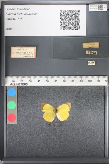 Media type: image;   Entomology 123515